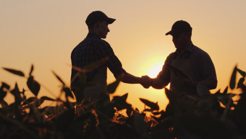 agriculture-industry